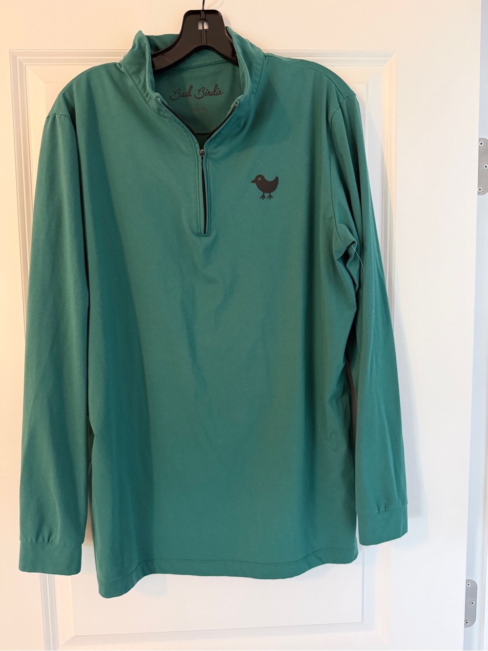 Bad Birdie Men's Long-Sleeve Quarter-Zip Polo - Teal Green